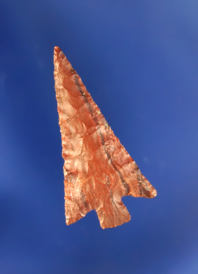 Wallula Gap, a fine example, 1 1/8” L. Found at the Decker Site on the Lower Columbia