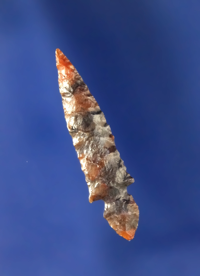 Klickitat Dagger,The Dalles area near 5-Mile Locks by Elmer Buehler. 1 3/16” L. Pictured O.A.S.