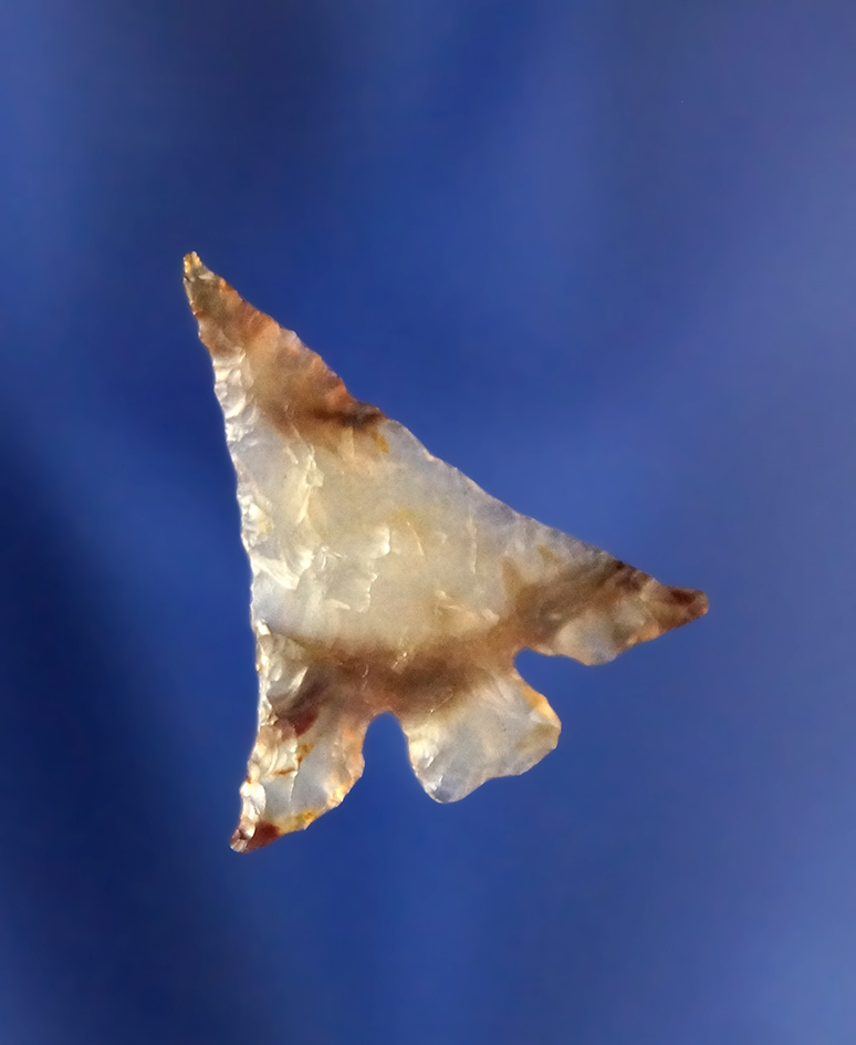 Incredible! 15/16" Eastgate -thin with great flaking and style. Found near the Columbia River.