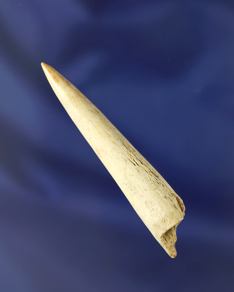 2 3/8" Fort Ancient conical dear antler point found in Ohio. Comes with a Bennett COA.