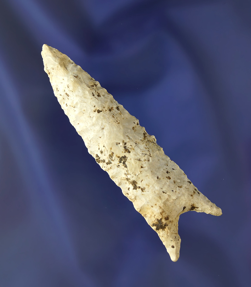 3 15/16" Dalton with heavy mineral deposits on surface found in Illinois. Jerry Dickey COA.