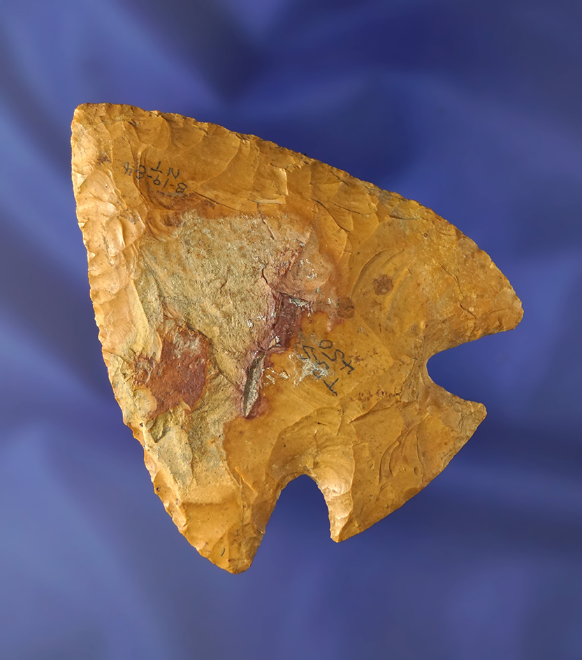 3" tall by 2 3/8" wide Hopewell Snyders found at the Snyder site, Calhoun Co., Illinois.