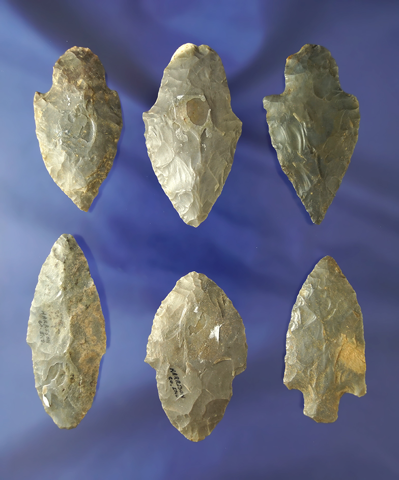 Set of six nice Adena arrowheads, largest is 2 9/16" found in Harrison Co., Indiana.