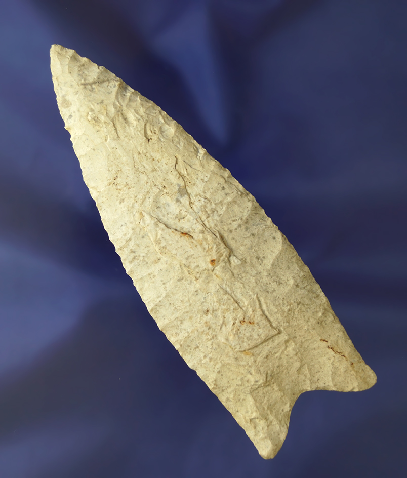 Big! Nicely patinated 4 7/8" Dalton found in St. Clair Co., Illinois with nice mineral deposits.