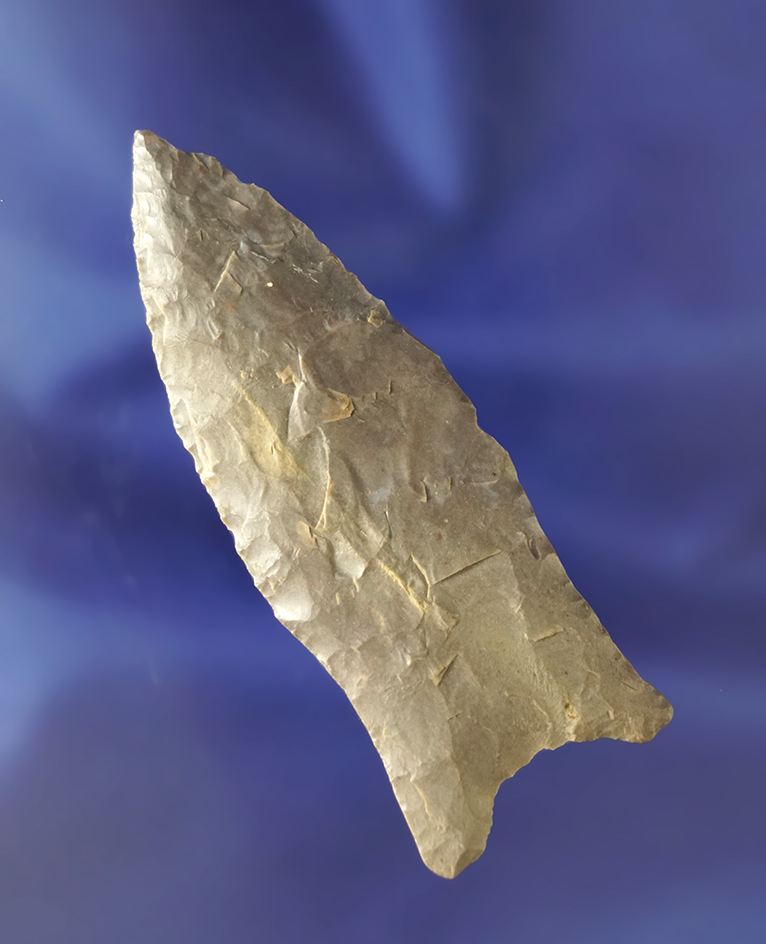 2 7/8" Paleo Quad found by Paul Miller in Tennessee made from Hornstone. Davis G-9 COA.