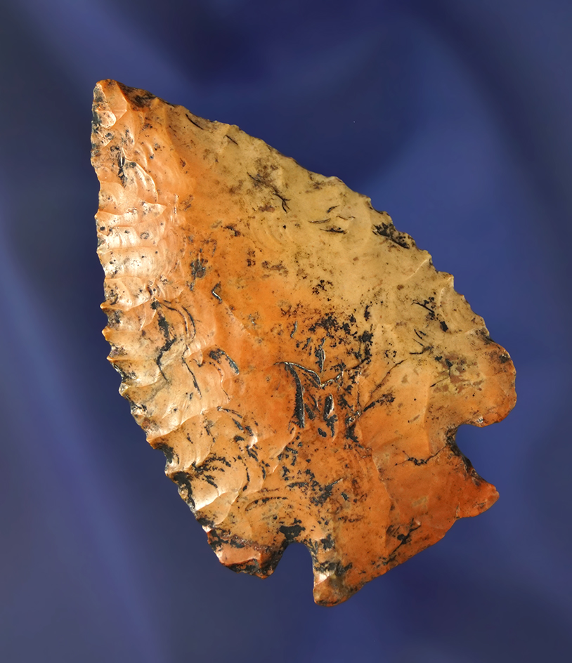 River stain patina  2 11/16" Pine Tree  that was a creek find in Prentice Co., MI.  Dickey COA.