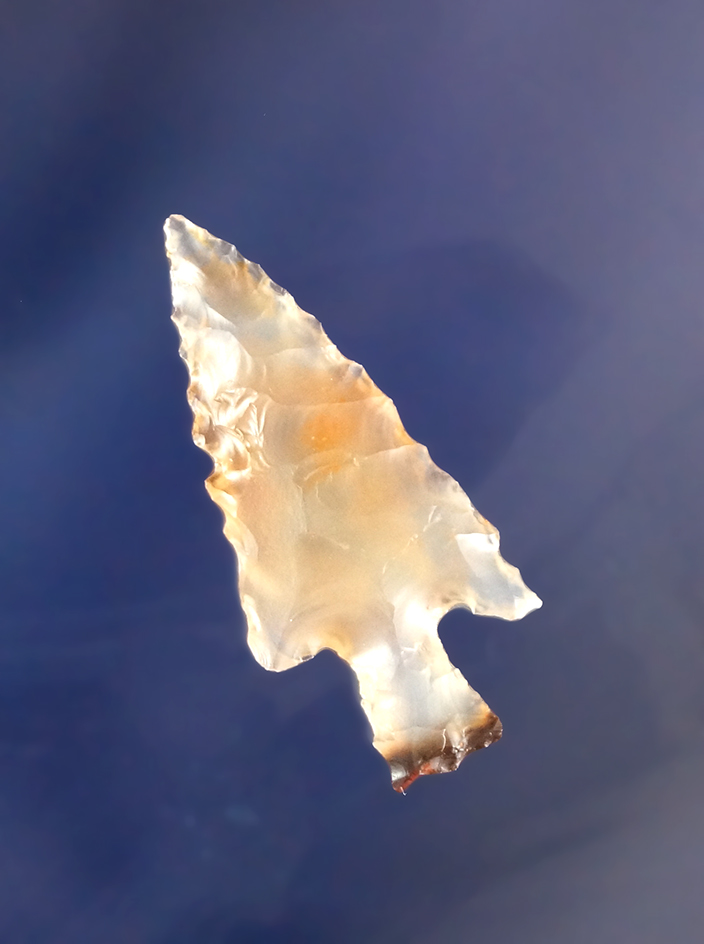 15/16" Agate Birdpoint found in Las Animas County Colorado by Joella and Robert Hill.