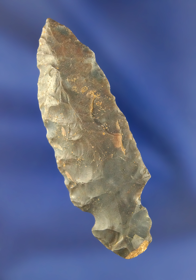 Heavily patinated 2 15/16" Hornstone Turkeytail found in Ohio.