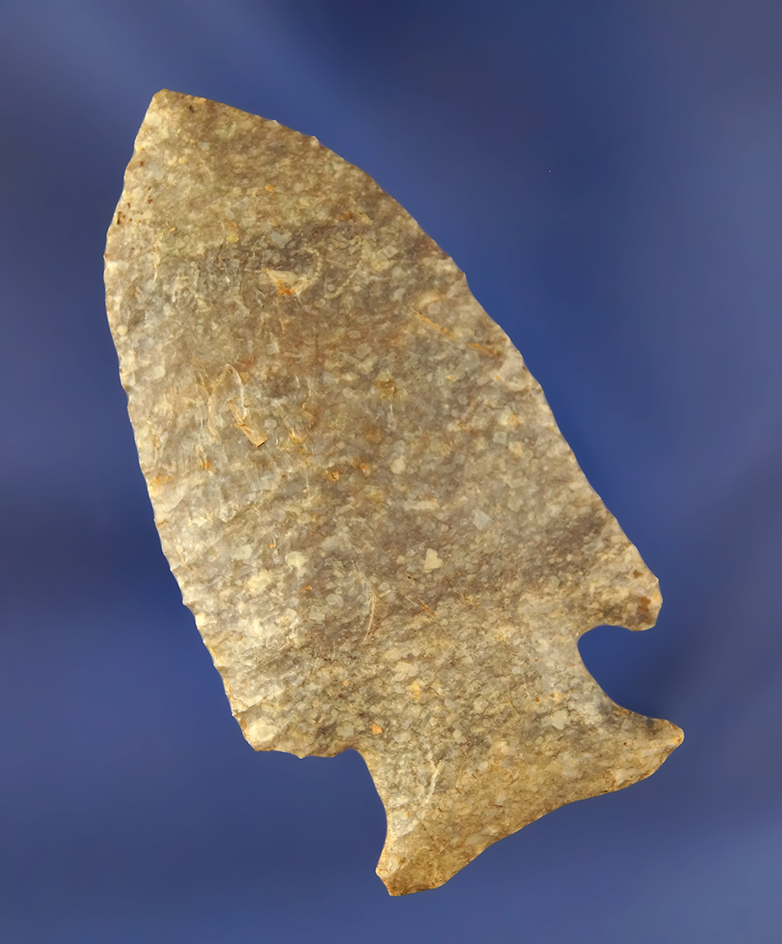 Excellent style and nice flaking on this 2 7/8" Barbed Hardin found in Lawrence County Indiana.