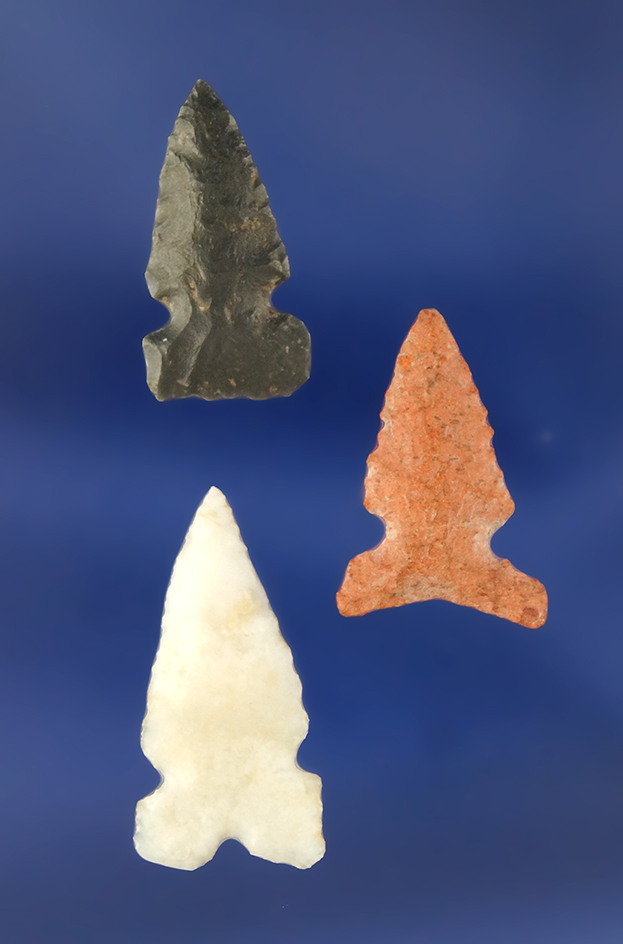 Set of three nice Arrowheads found near the Columbia River, largest is 1 1/8".