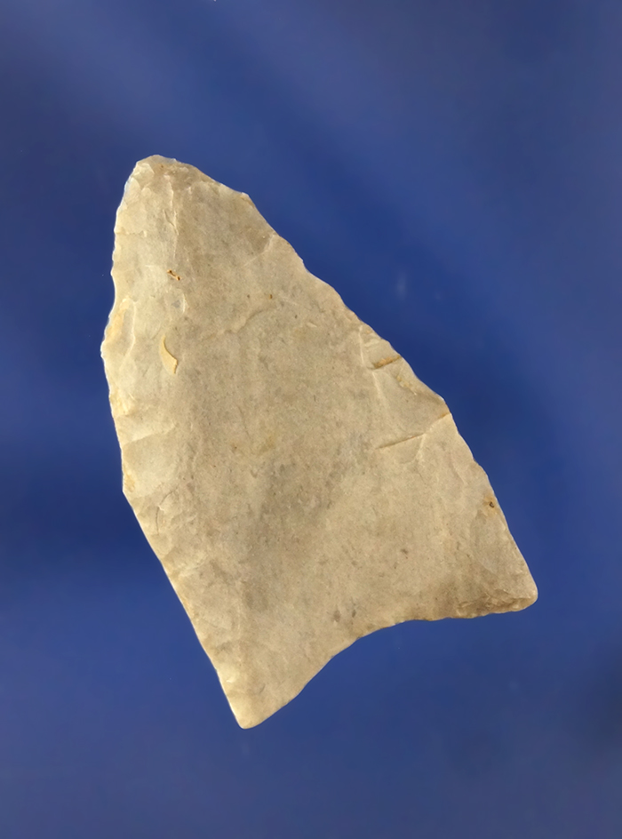 1 1/2" nicely fluted Paleo Clovis found in Kentucky.