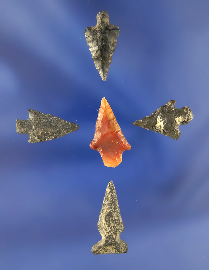 Set of five Arrowheads, largest is 1" found near the John Day River in the 1940s.