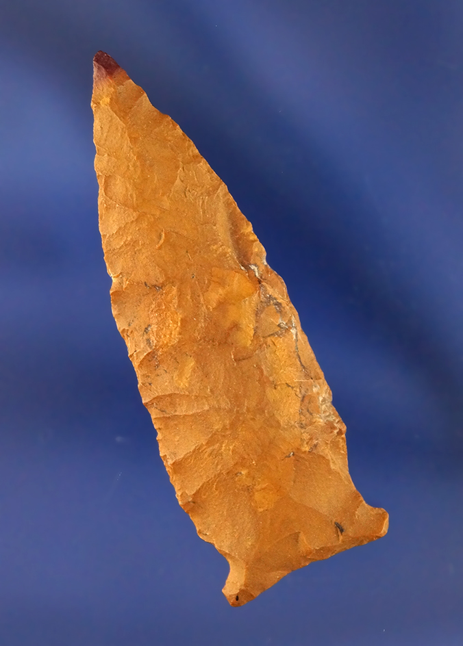 2 3/16" Matanzas found in Tennessee. Comes with Rogers COA.