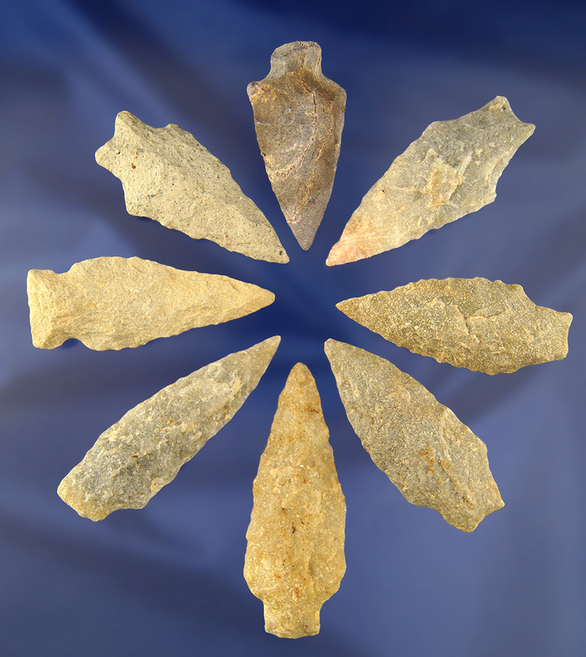 Set of 10 well flaked assorted arrowheads founded Sussex County Virginia, largest is 2 7/8".