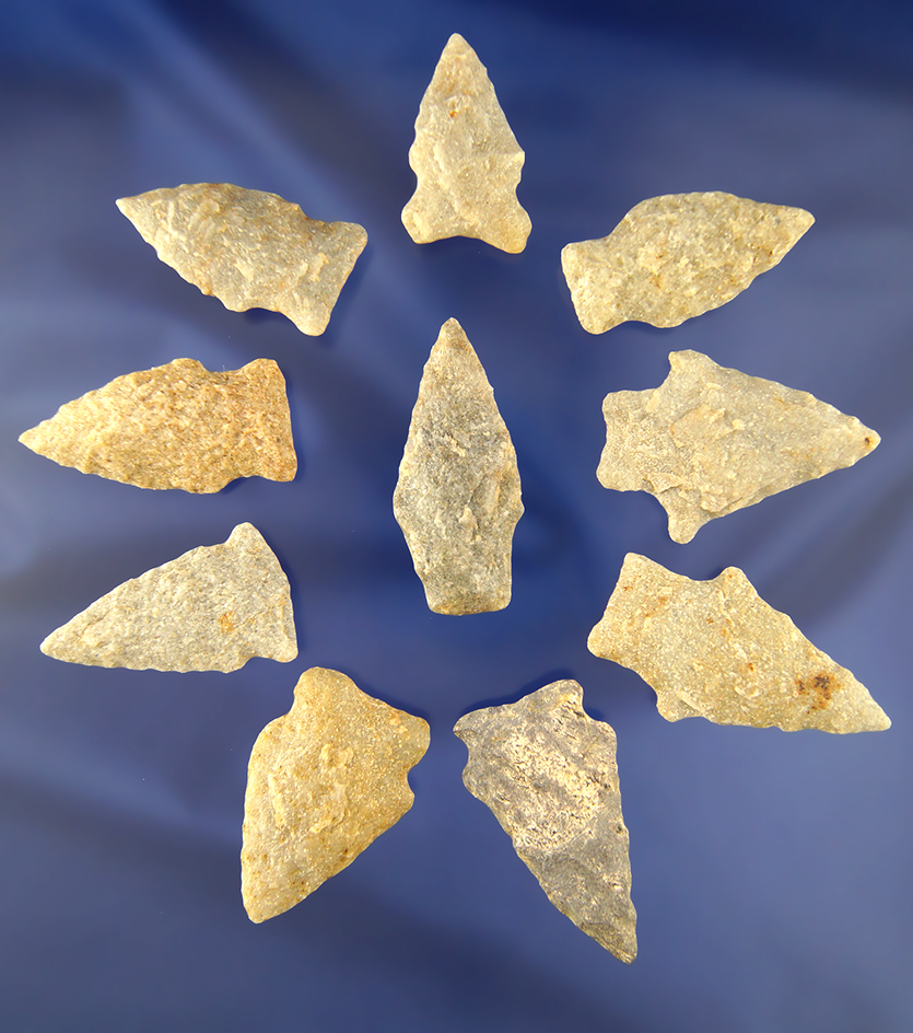 Set of 10 nicely flaked arrowheads found in Sussex County Virginia, largest is 2".