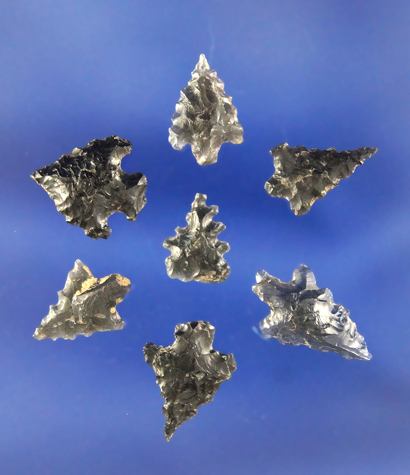Set of seven Calapooya style Arrowheads found in Northern California. Largest is 5/8".