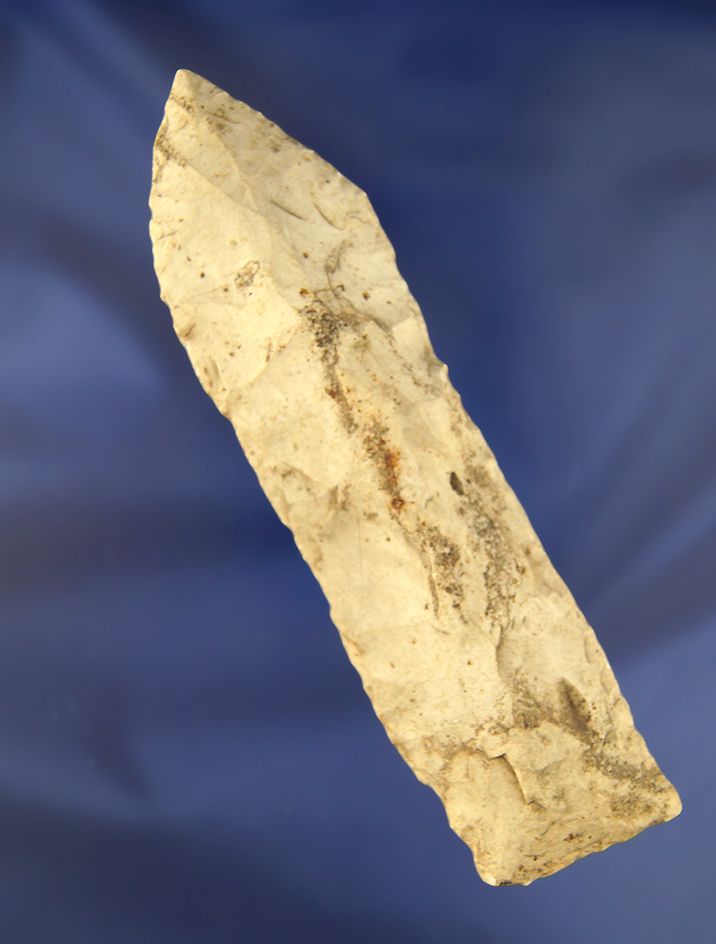 5 1/2" Wadlow found in Illinois.