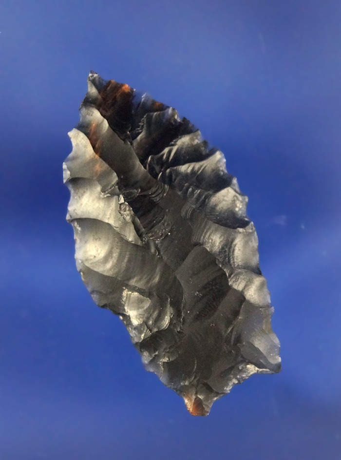 1 3/4" Humboldt Concave Base found near Crump Lake Oregon.