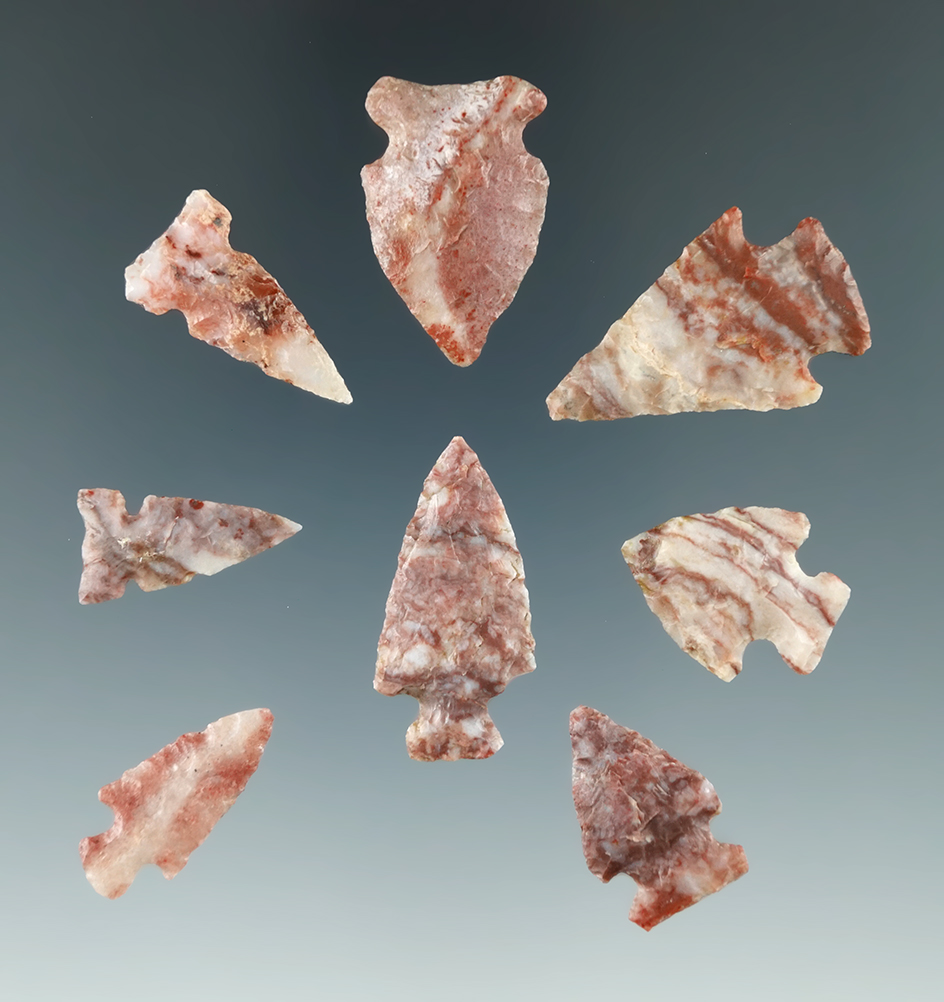 Set of eight Alibates Flint arrowheads found in the Colorado area, largest is 1 3/16".  Ex. Roth.