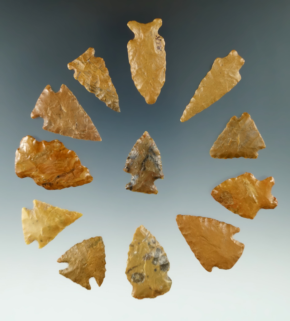 Set of 12 Colorado arrowheads made from attractive materials, largest is 1 1/2".  Ex. Bob Roth.