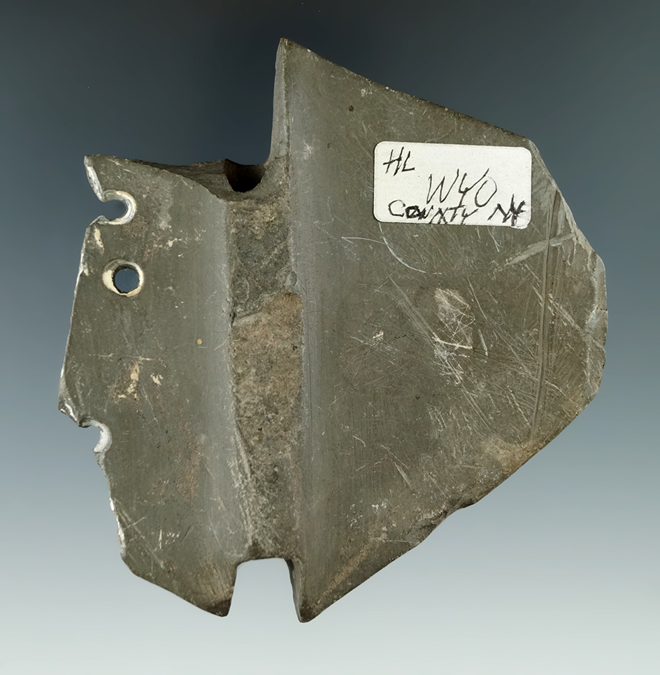 Double Notched Wing Bannerstone section with original repair holes on one wing. New York.