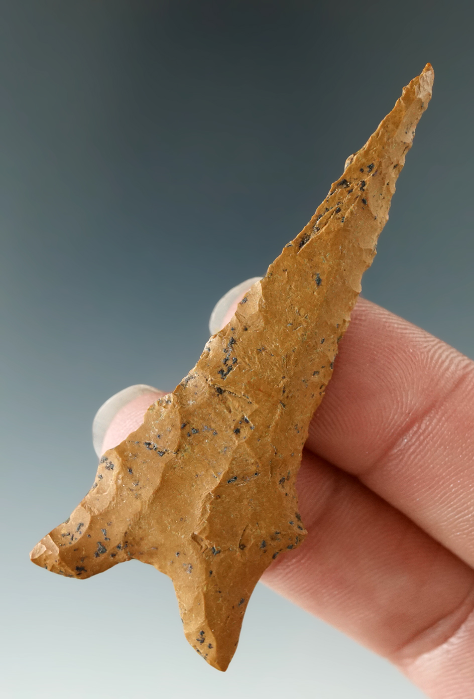 Nicely patinated and well styled 2 7/16" Dalton point found in northern Arkansas.