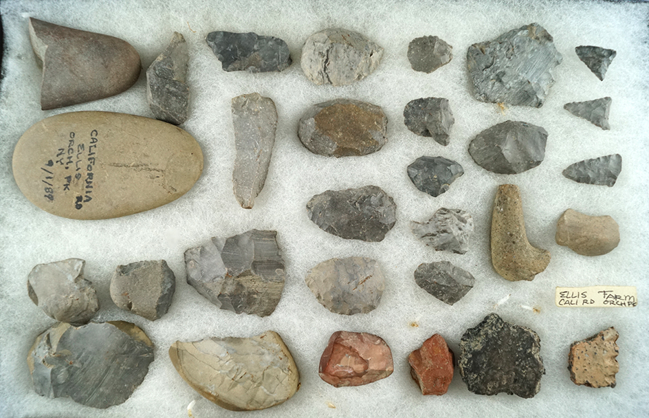 Group of assorted artifacts found at the Ellis farm site, orchard Park New York.