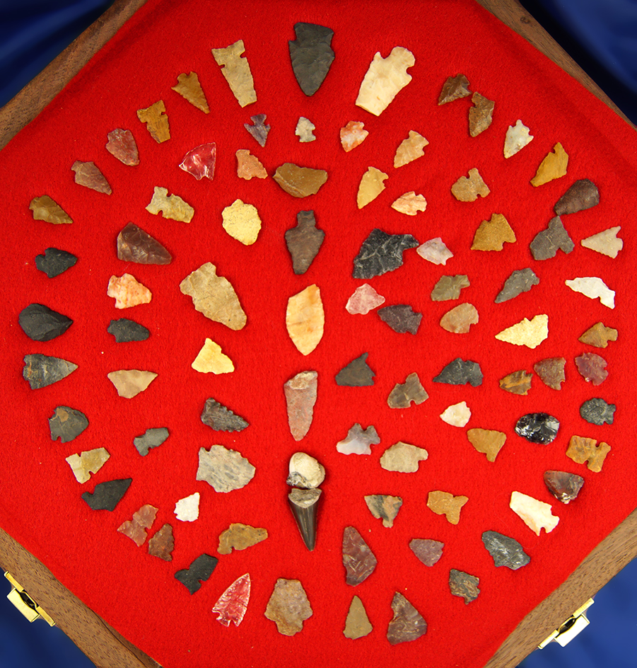 Beautiful octagon display frame full of Arrowheads found in Colorado. Largest is 1 3/16".