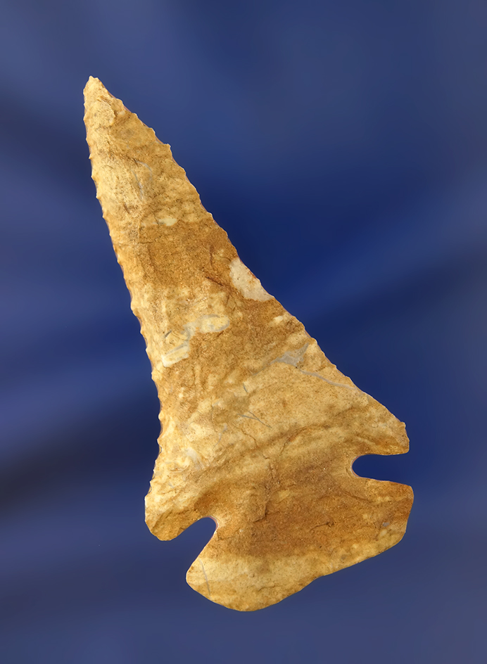 Very attractive 2 5/8" Beveled Dovetail found in Tennessee and made from Ft. Payne Chert.