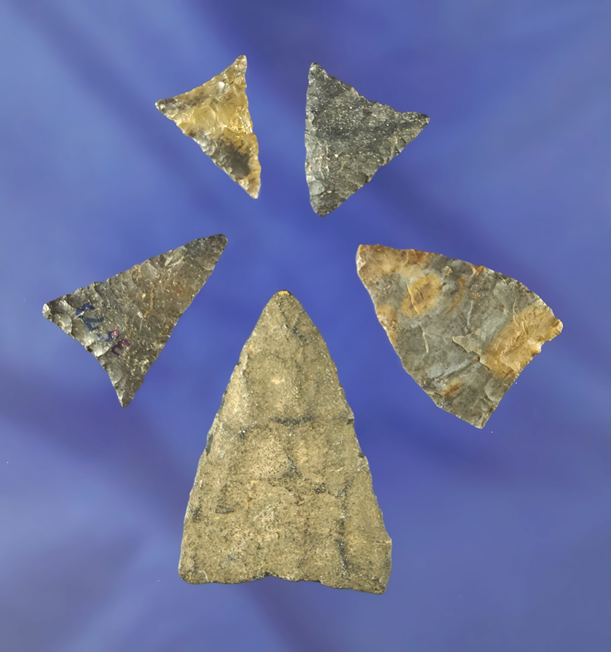 Set of five very nice Triangle points found in Pennsylvania. Largest is 1 11/16".