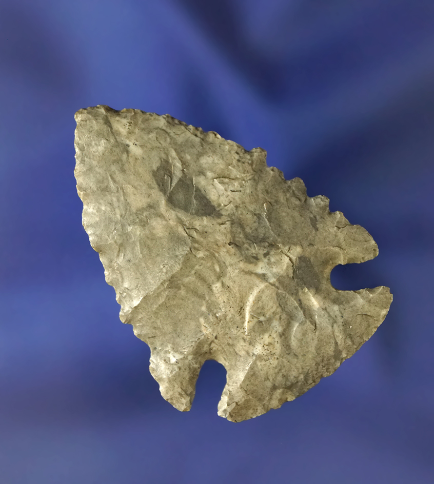 Fine 1 7/8" Dovetail made from Ft. Payne Flint and found in Tennessee.