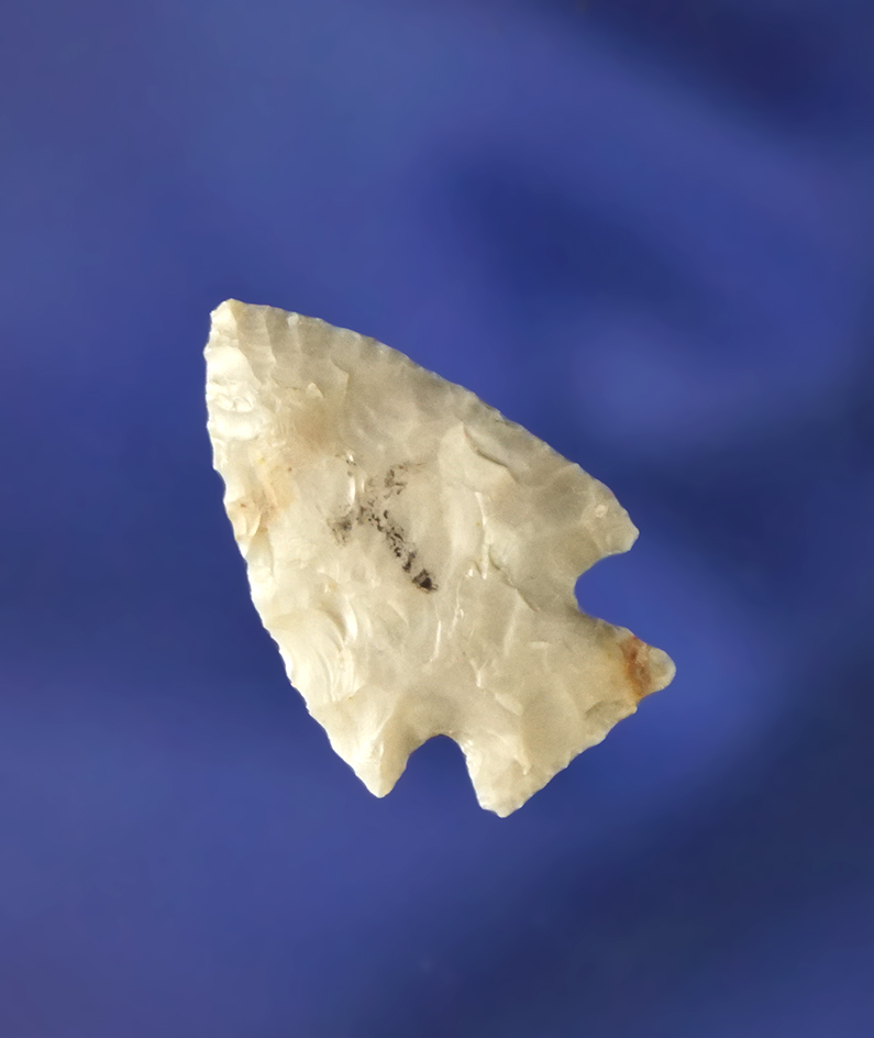 7/8" Cornernotch Bird Point found in southern Colorado.