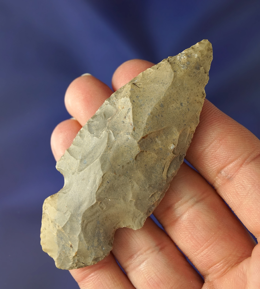 Classic styled 3 1/8" Turkeytail found in Tennessee. Ex. Rocky Hall.