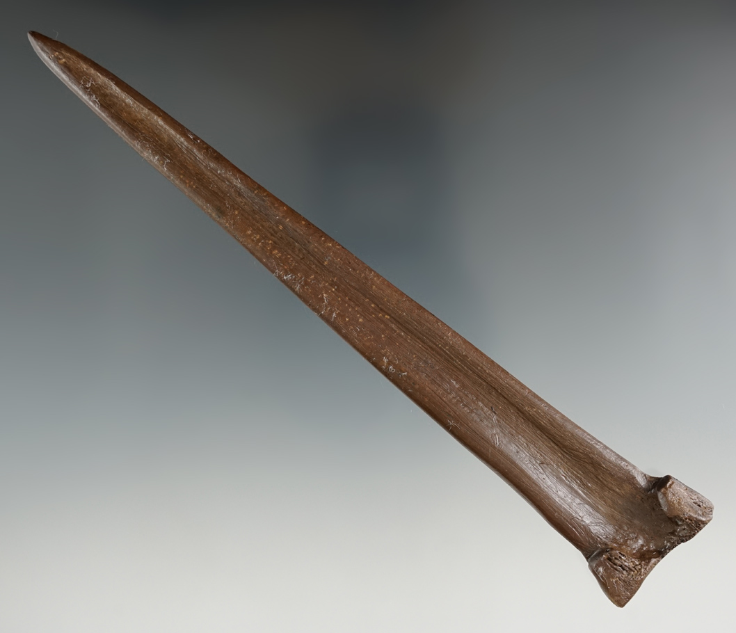 Large and nice! 6 7/8" bone dagger  found near a small spring on a cattle farm in Putnam County FL