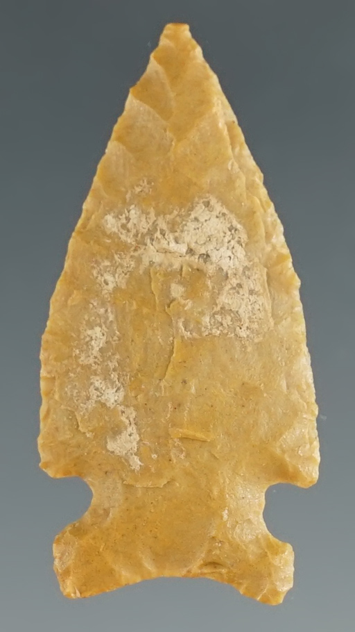 Beautiful flaking on this 1 3/8" Sidenotch found in Montana.