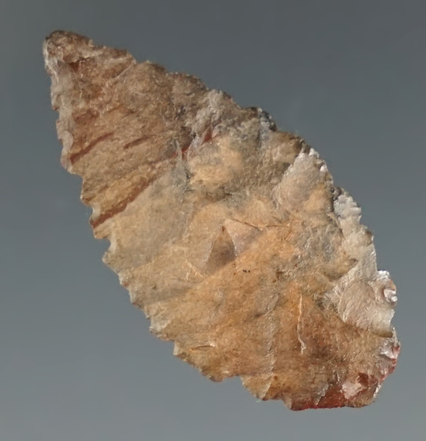1 3/16" Nodena made from Arkansas River Cobble Chert, found in Yell Co., Arkansas. Partain COA.