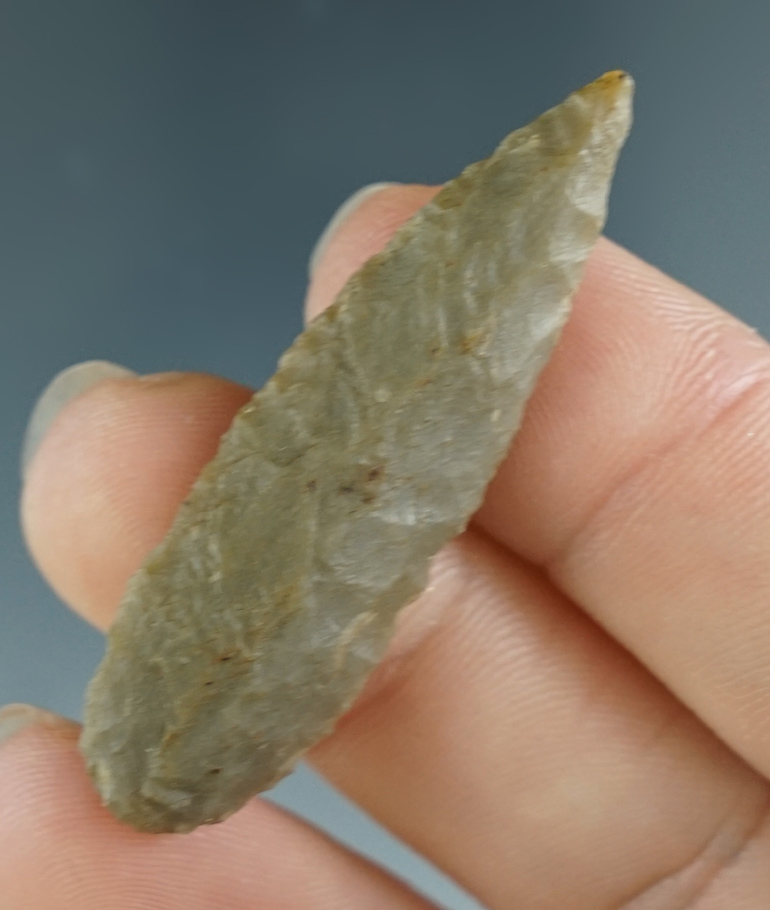 1 7/8" Nodena found in Arkansas. Ex. Dick Johnson Collection.