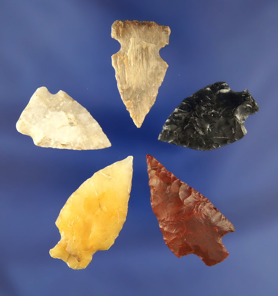 Set of five nice assorted Arrowheads, largest is 1 5/8" found in Franklin County Washington.