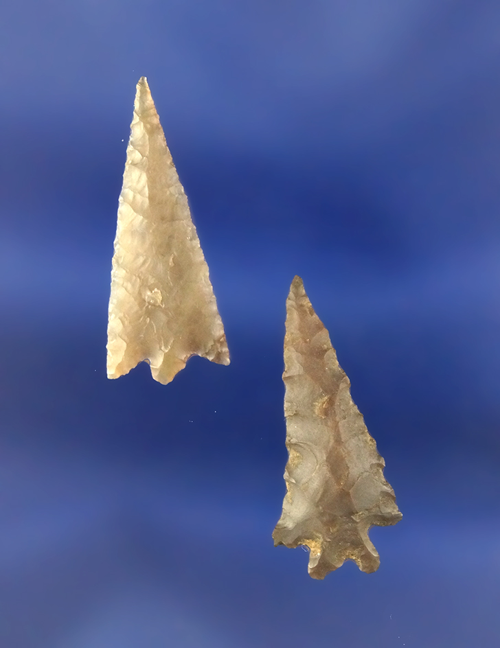Pair of Columbia River Gempoints, largest is 1 1/16"   found in Umatilla Oregon in the 1940s.