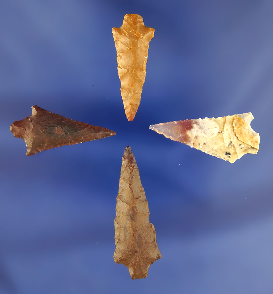 Set of four Columbia River Arrowheads largest is 1 5/8"  found in Franklin County Washington.