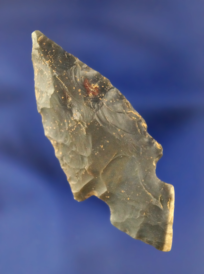 Classic style 2 1/2" Hornstone Adena Turkeytail found in Indiana.