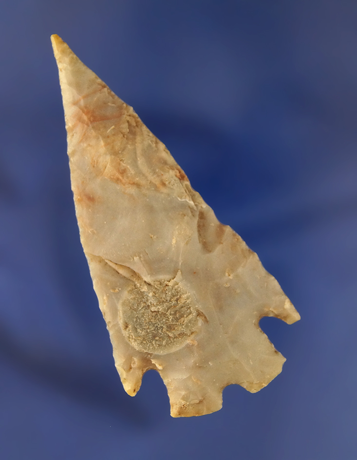 3 1/8" thin Montell found in Texas.