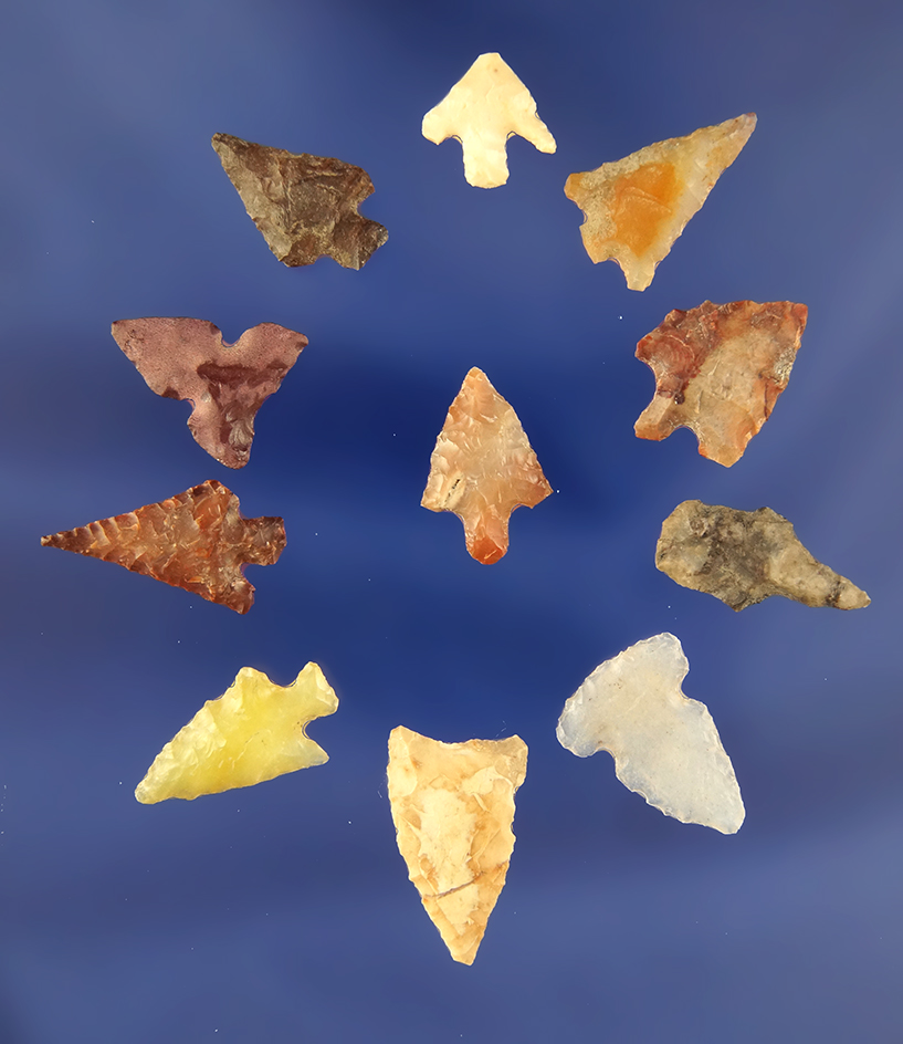 Set of 11 assorted Arrowheads, largest is 7/8" found in Franklin County Washington.