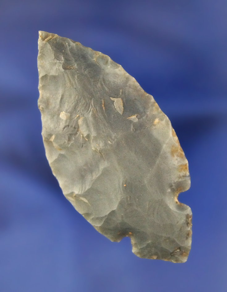 2 3/8" Hornstone Adena Turkeytail found in Indiana.