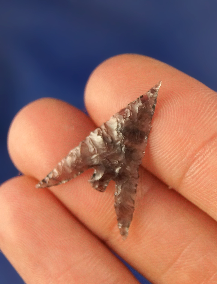 Truly exceptional 1 1/16" translucent Obsidian Gunther found in Oregon.