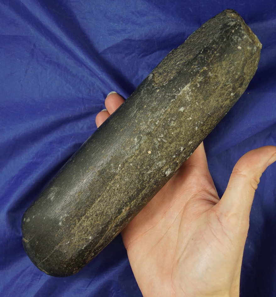 Large! 9 3/16" nicely polished Hardstone Adze found near the Columbia River.