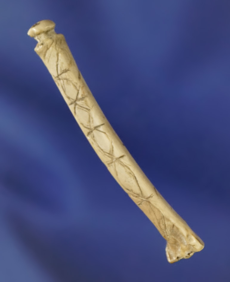 Highly engraved! 1 11/16" grooved bird bone pendant with nice incised carving design.