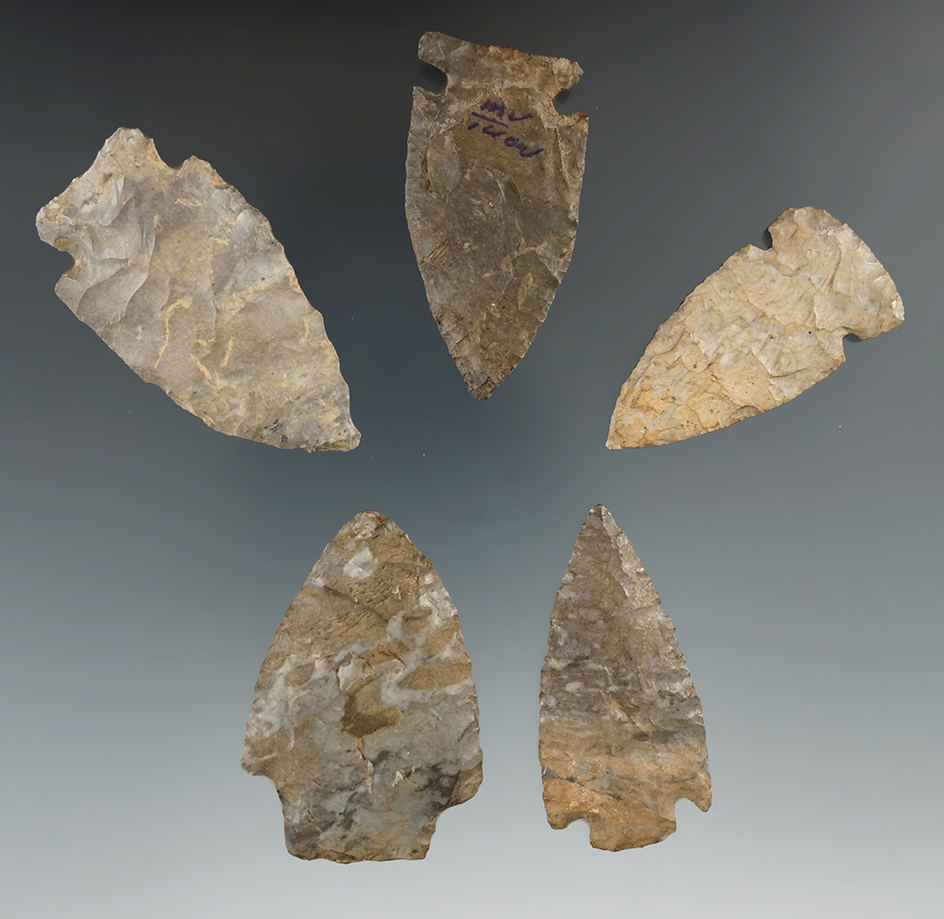 Group of five arrowheads found in New York, includes a very nice Intrusive Mound.