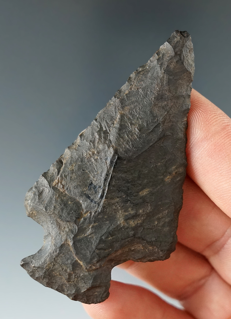 2 5/8" Susquehanna Broad Point made from Esopus chert found in New York.  "Iron Horse" collection.