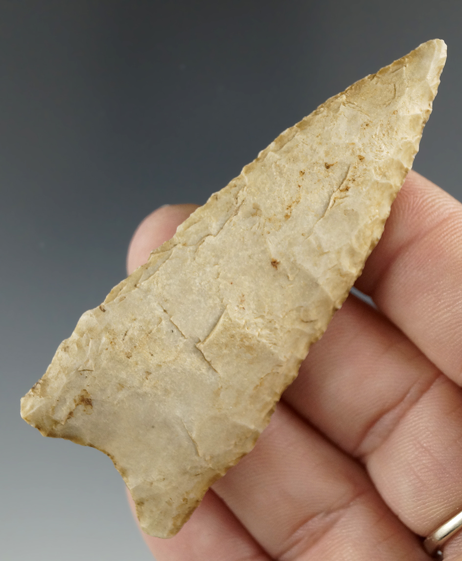 2 3/4" Dalton found in Arkansas.